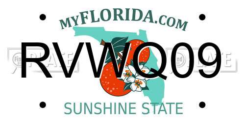 RVWQ09 Florida License Plate