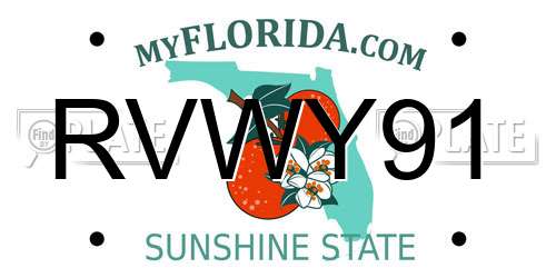 RVWY91 Florida License Plate