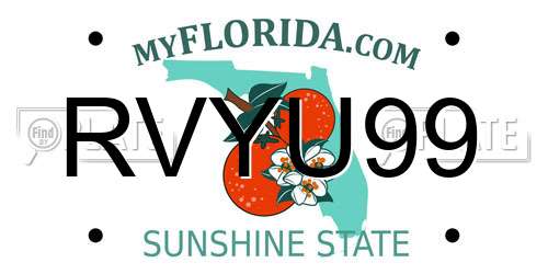 RVYU99 Florida License Plate