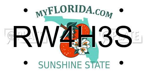 RW4H3S Florida License Plate