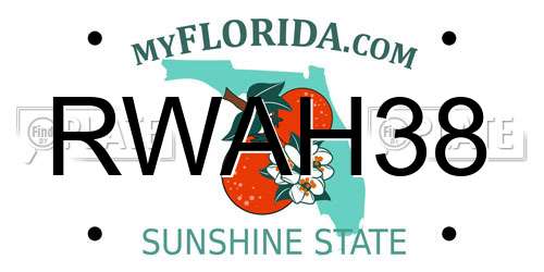 RWAH38 Florida License Plate