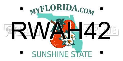 RWAH42 Florida License Plate