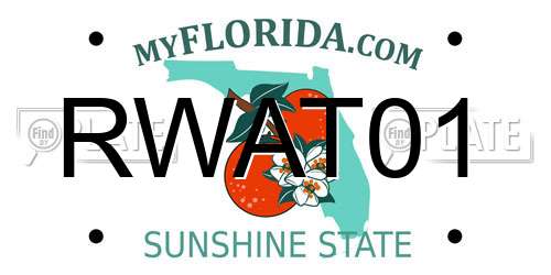 RWAT01 Florida License Plate