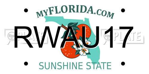 RWAU17 Florida License Plate