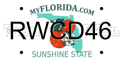 RWCD46 Florida License Plate