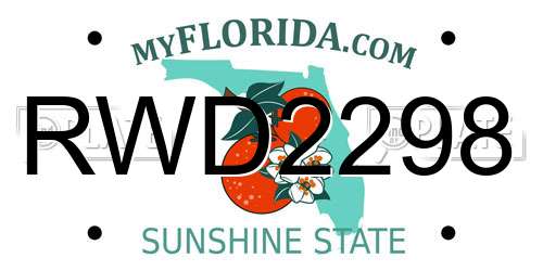 RWD2298 Florida License Plate