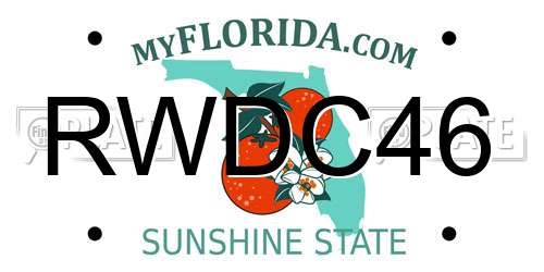 RWDC46 Florida License Plate