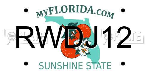 RWDJ12 Florida License Plate