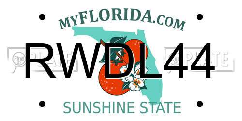 RWDL44 Florida License Plate