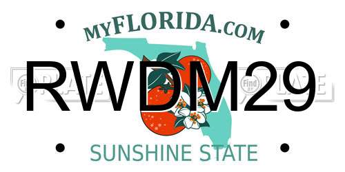 RWDM29 Florida License Plate