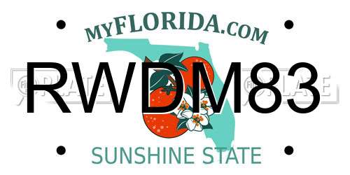 RWDM83 Florida License Plate