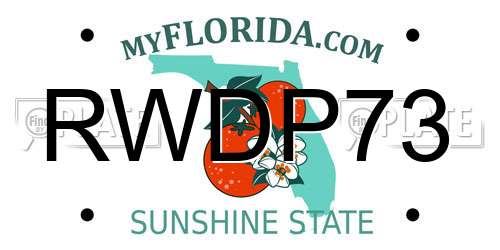 RWDP73 Florida License Plate