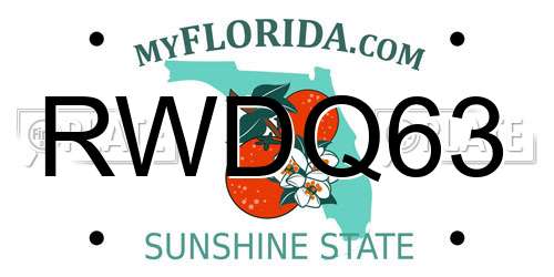 RWDQ63 Florida License Plate