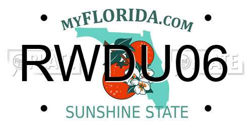 RWDU06 Florida License Plate