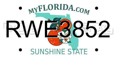 RWE3852 Florida License Plate