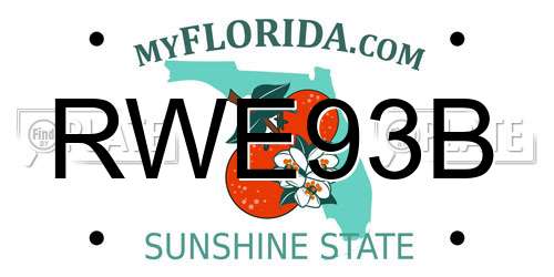 RWE93B Florida License Plate