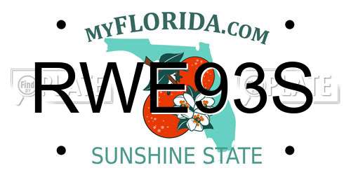 RWE93S Florida License Plate