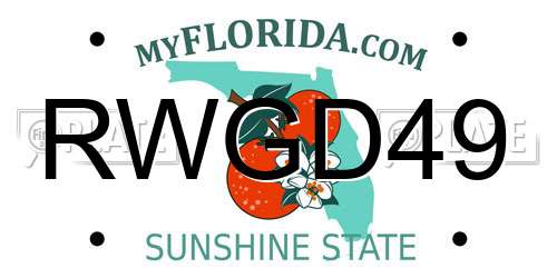 RWGD49 Florida License Plate