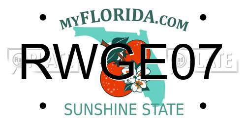 RWGE07 Florida License Plate