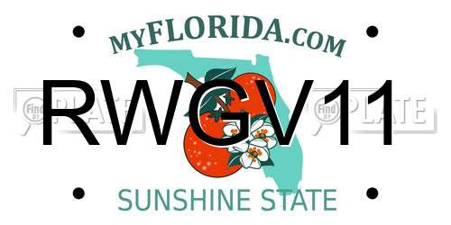 RWGV11 Florida License Plate