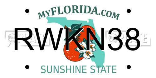 RWKN38 Florida License Plate