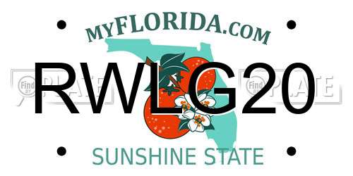 RWLG20 Florida License Plate