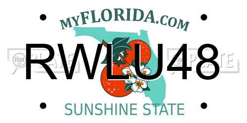RWLU48 Florida License Plate