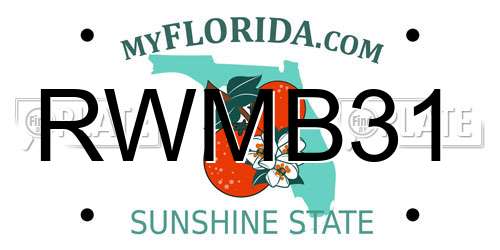 RWMB31 Florida License Plate