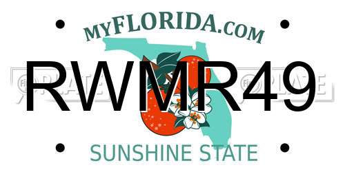 RWMR49 Florida License Plate