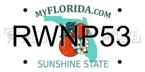 RWNP53 Florida License Plate