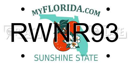RWNR93 Florida License Plate