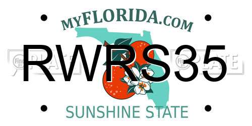 RWRS35 Florida License Plate