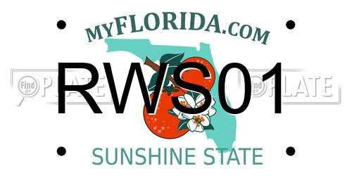 RWS01 Florida License Plate