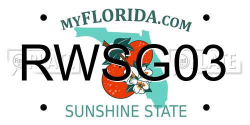 RWSG03 Florida License Plate