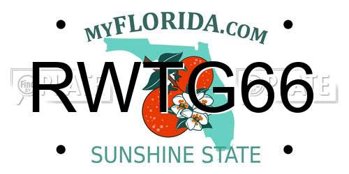 RWTG66 Florida License Plate