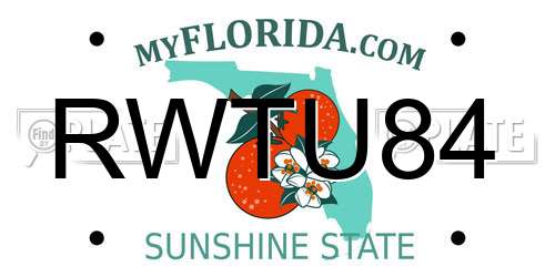RWTU84 Florida License Plate