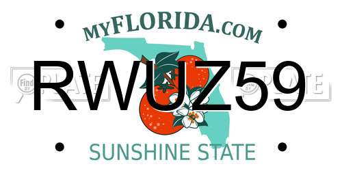 RWUZ59 Florida License Plate