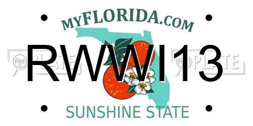 RWWI13 Florida License Plate