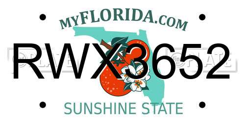 RWX3652 Florida License Plate