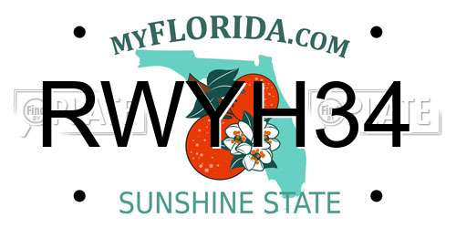 RWYH34 Florida License Plate