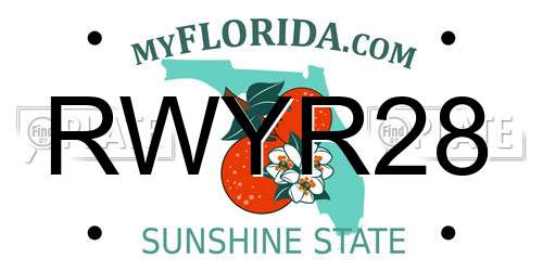 RWYR28 Florida License Plate