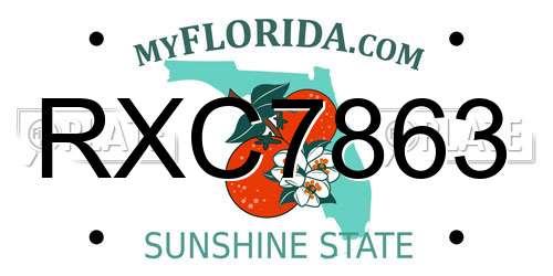 RXC7863 Florida License Plate