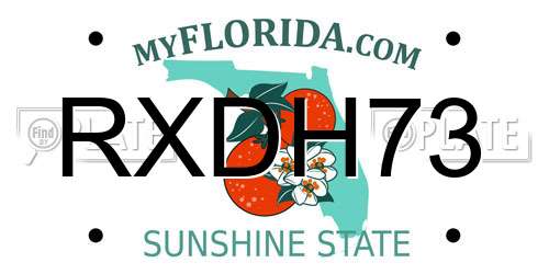 RXDH73 Florida License Plate