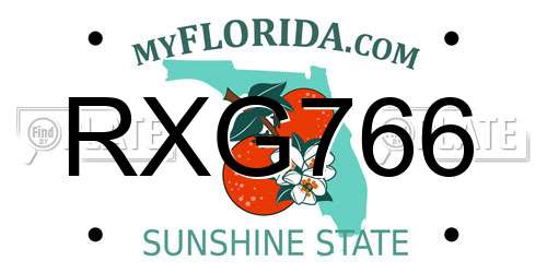 RXG766 Florida License Plate