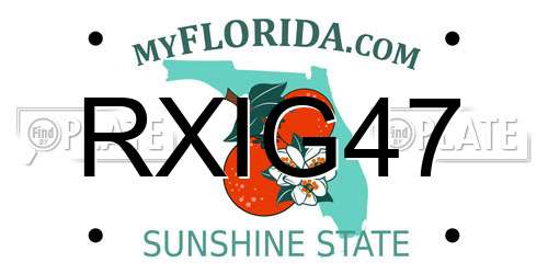 RXIG47 Florida License Plate
