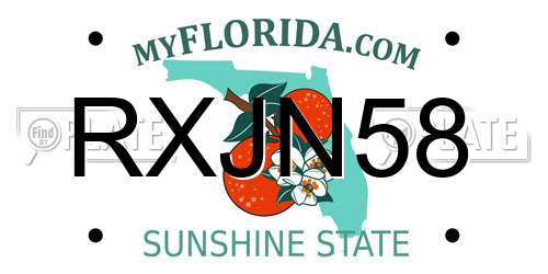 RXJN58 Florida License Plate