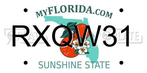 RXQW31 Florida License Plate