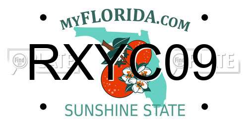 RXYC09 Florida License Plate