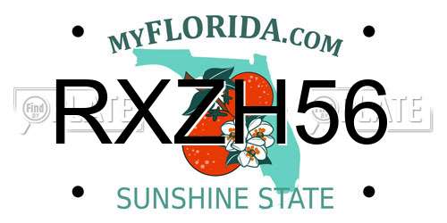 RXZH56 Florida License Plate
