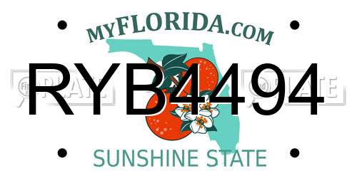 RYB4494 Florida License Plate